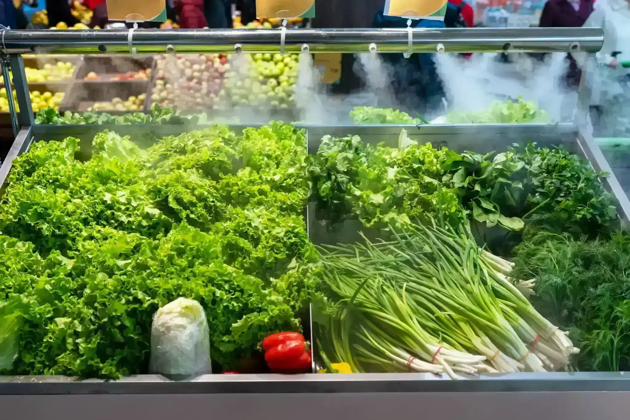 In a green grocer's vegetable display, water sprays over lettuce, parsley, spinach, dill, red peppers and chives where ANACONDA SEALTITE® Food Grade conduit can protect wiring. In a green grocer's vegetable display, water sprays over lettuce, parsley, spinach, dill, red peppers and chives where ANACONDA SEALTITE® Food Grade conduit can protect wiring.