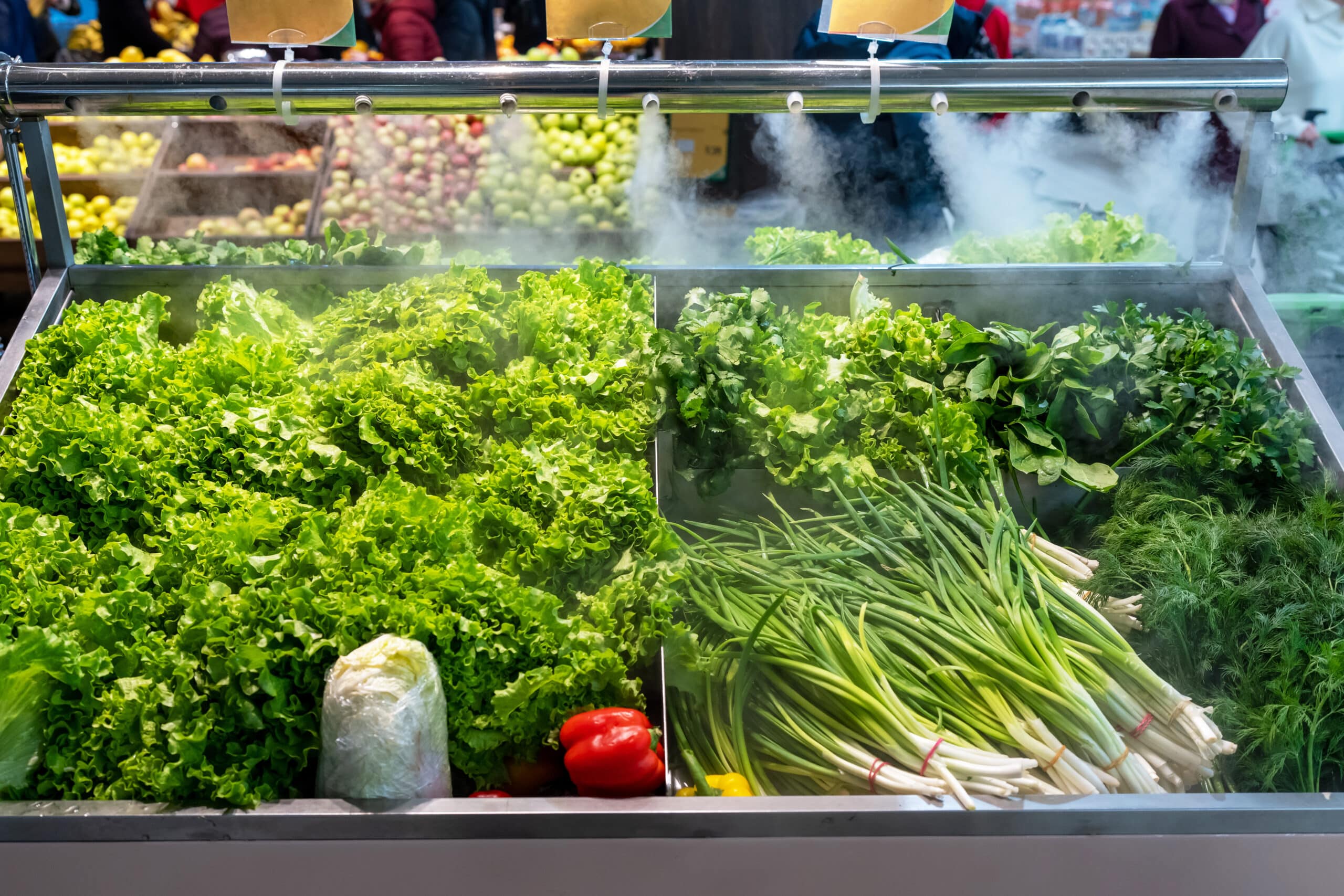 In a green grocer's vegetable display, water sprays over lettuce, parsley, spinach, dill, red peppers and chives where ANACONDA SEALTITE® Food Grade conduit can protect wiring.