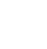 Foundry Icon